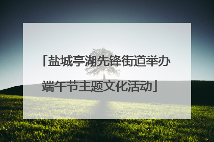 盐城亭湖先锋街道举办端午节主题文化活动