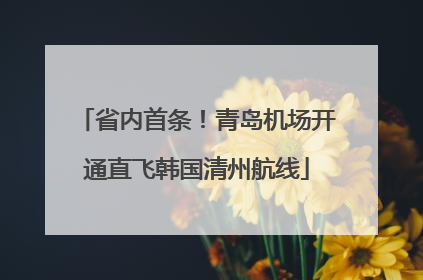 省内首条！青岛机场开通直飞韩国清州航线