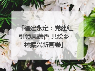 福建永定：党建红引领果蔬香 共绘乡村振兴新画卷