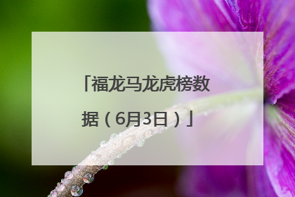 福龙马龙虎榜数据（6月3日）