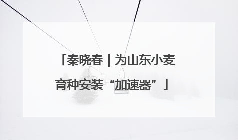 秦晓春｜为山东小麦育种安装“加速器”