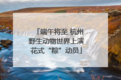 端午将至 杭州野生动物世界上演花式“粽”动员