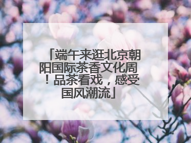端午来逛北京朝阳国际茶香文化周！品茶看戏，感受国风潮流