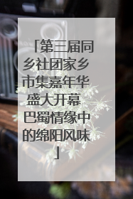 第三届同乡社团家乡市集嘉年华盛大开幕 巴蜀情缘中的绵阳风味