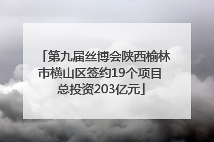 第九届丝博会陕西榆林市横山区签约19个项目 总投资203亿元
