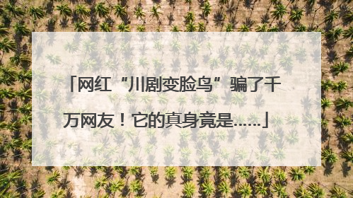网红“川剧变脸鸟”骗了千万网友！它的真身竟是……