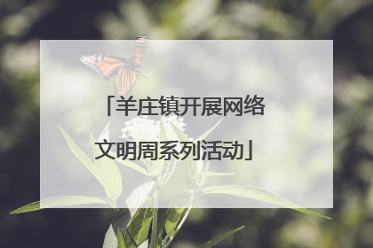 羊庄镇开展网络文明周系列活动