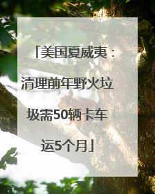 美国夏威夷：清理前年野火垃圾需50辆卡车运5个月