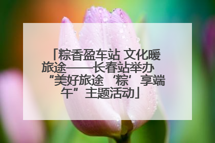 粽香盈车站 文化暖旅途——长春站举办 “美好旅途‘粽’享端午”主题活动