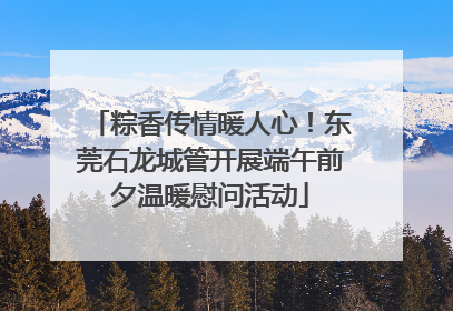粽香传情暖人心！东莞石龙城管开展端午前夕温暖慰问活动
