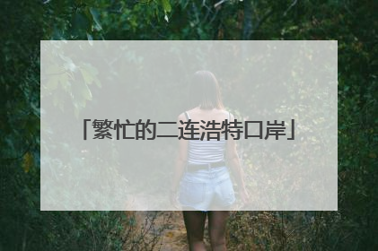繁忙的二连浩特口岸