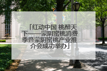 红动中国 桃醉天下——蒙阴蜜桃消费季暨蒙阴蜜桃产业推介会成功举办