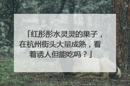 红彤彤水灵灵的果子，在杭州街头大量成熟，看着诱人但能吃吗？