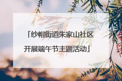 纱帽街道朱家山社区开展端午节主题活动