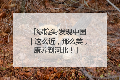 绿镜头·发现中国｜这么近，那么美，康养到河北！