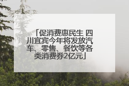 促消费惠民生 四川宜宾今年将发放汽车、零售、餐饮等各类消费券2亿元