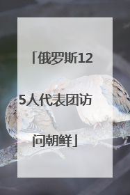 俄罗斯125人代表团访问朝鲜