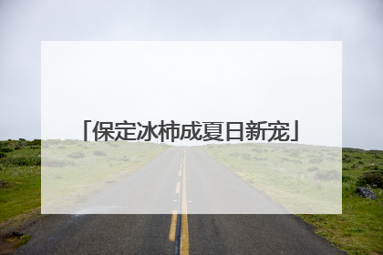 保定冰柿成夏日新宠