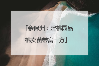 余保洲：建桃园品桃卖苗带富一方