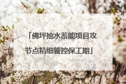佛坪抽水蓄能项目攻节点精细管控保工期
