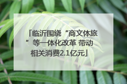 临沂围绕“商文体旅”等一体化改革 带动相关消费2.1亿元