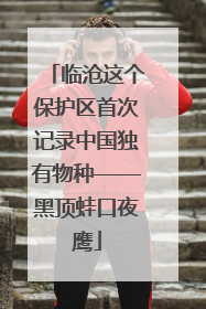 临沧这个保护区首次记录中国独有物种——黑顶蛙口夜鹰
