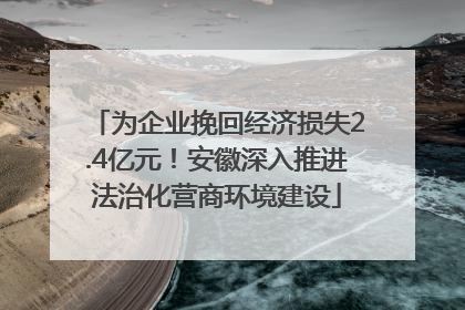 为企业挽回经济损失2.4亿元！安徽深入推进法治化营商环境建设