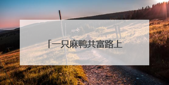 一只麻鸭共富路上的发展“密码”