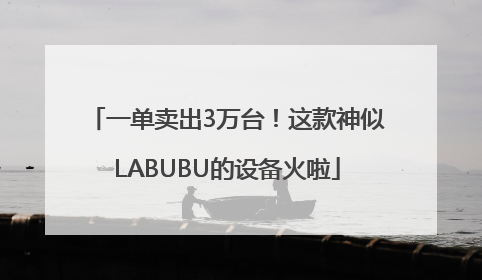 一单卖出3万台！这款神似LABUBU的设备火啦
