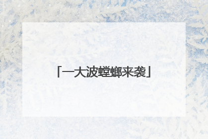一大波螳螂来袭
