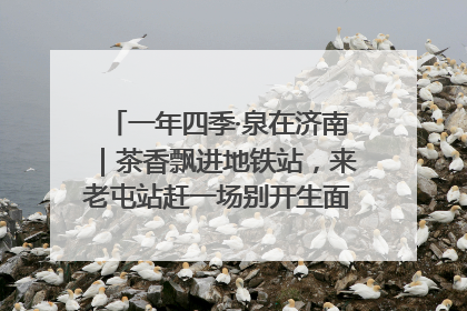 一年四季·泉在济南｜茶香飘进地铁站，来老屯站赶一场别开生面的“茶韵市集”！