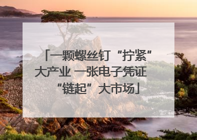 一颗螺丝钉“拧紧”大产业 一张电子凭证“链起”大市场
