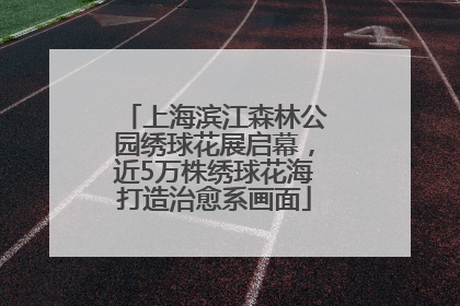 上海滨江森林公园绣球花展启幕，近5万株绣球花海打造治愈系画面