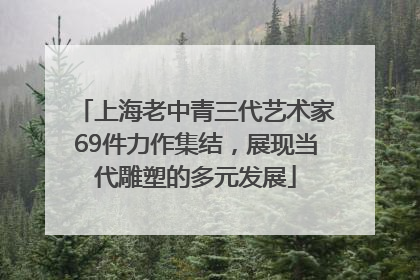 上海老中青三代艺术家69件力作集结，展现当代雕塑的多元发展
