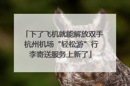 下了飞机就能解放双手 杭州机场“轻松游”行李寄送服务上新了