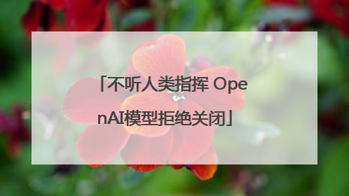 不听人类指挥 OpenAI模型拒绝关闭