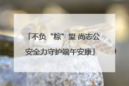 不负“粽”望 尚志公安全力守护端午安康