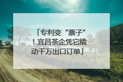 专利变“票子”！宜昌茶企凭它撬动千万出口订单