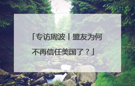 专访周波丨盟友为何不再信任美国了？