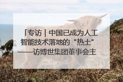 专访｜中国已成为人工智能技术落地的“热土”——访博世集团董事会主席斯特凡·哈通