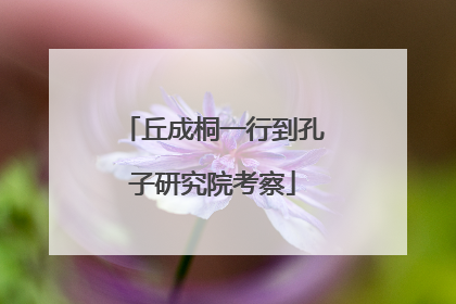 丘成桐一行到孔子研究院考察