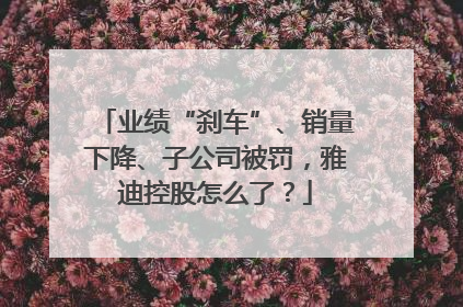 业绩“刹车”、销量下降、子公司被罚，雅迪控股怎么了？