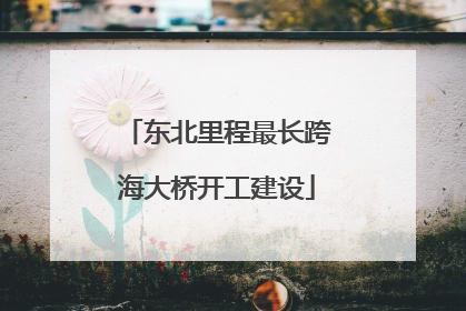 东北里程最长跨海大桥开工建设
