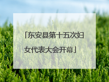 东安县第十五次妇女代表大会开幕