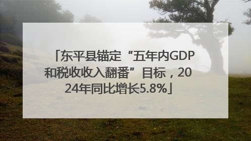 东平县锚定“五年内GDP和税收收入翻番”目标，2024年同比增长5.8%