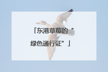 东港草莓的“绿色通行证”