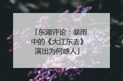 东湖评论：暴雨中的《大江东去》演出为何感人