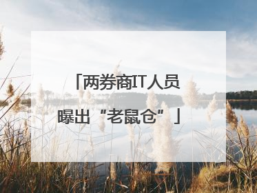 两券商IT人员曝出“老鼠仓”