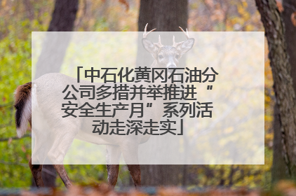 中石化黄冈石油分公司多措并举推进“安全生产月”系列活动走深走实