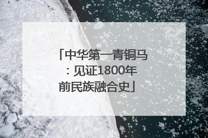 中华第一青铜马：见证1800年前民族融合史